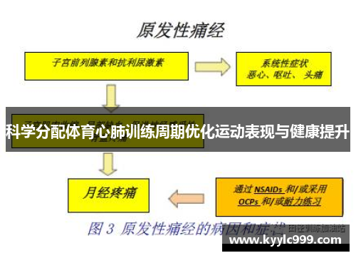 科学分配体育心肺训练周期优化运动表现与健康提升